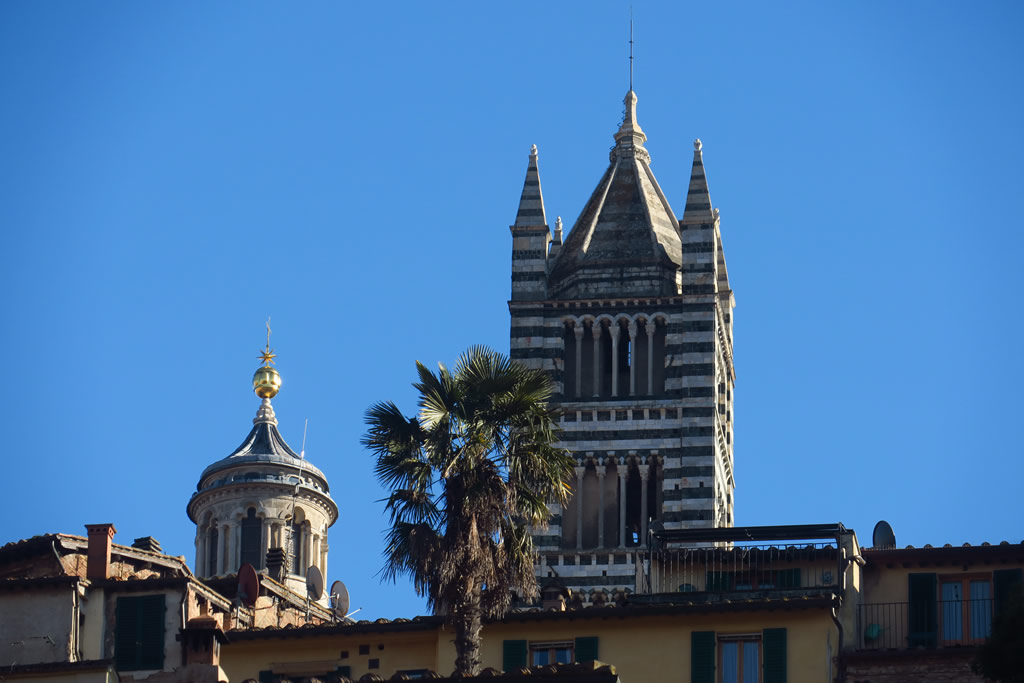 IMG_6928: Siena