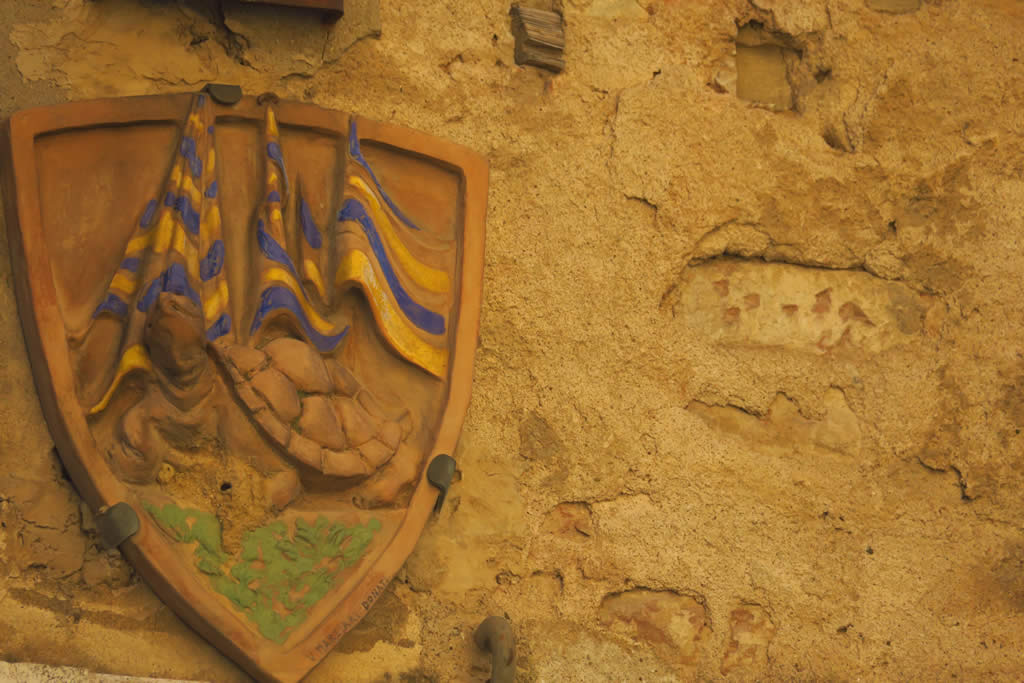 IMG_6942: Siena