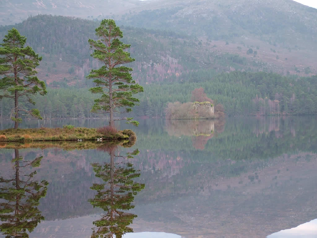 DSCF0159  Loch an Eilein