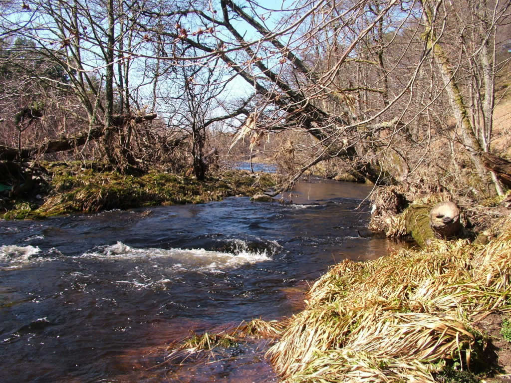 DSCF6032, Knockando, River Spey