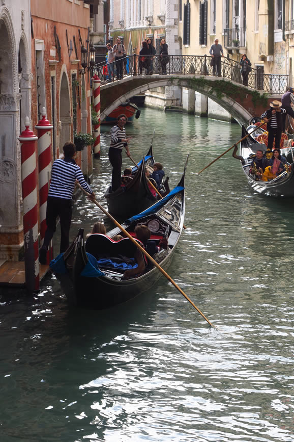 IMG_3718: Venice