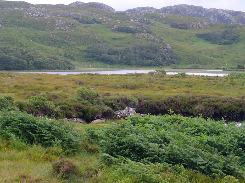 DSCF5122 West Highlands