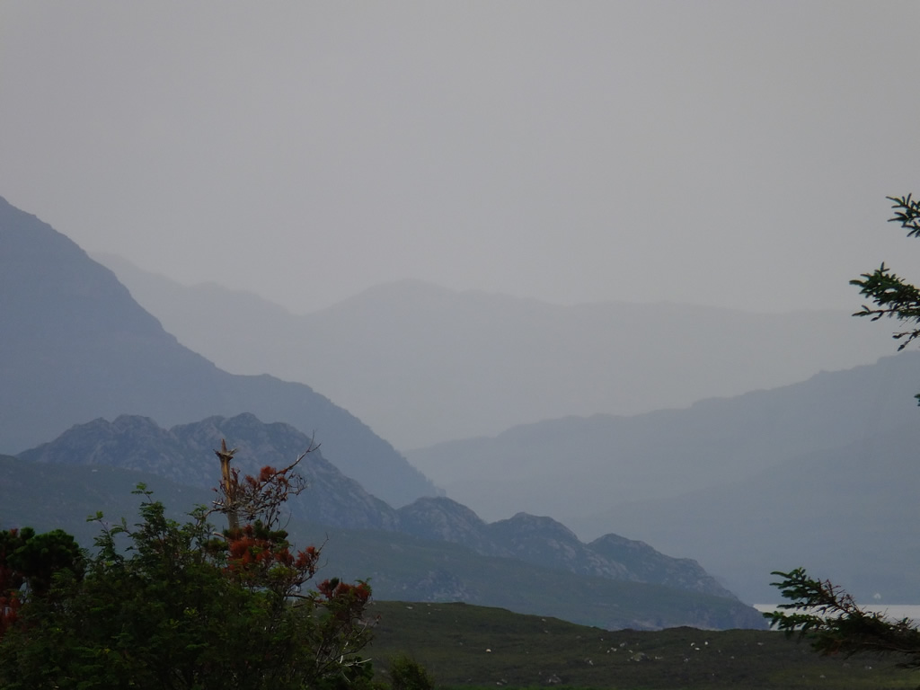 DSCF5151  West Highlands