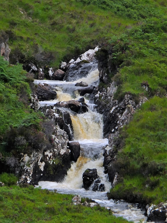 DSCF5242_E Loch Maree