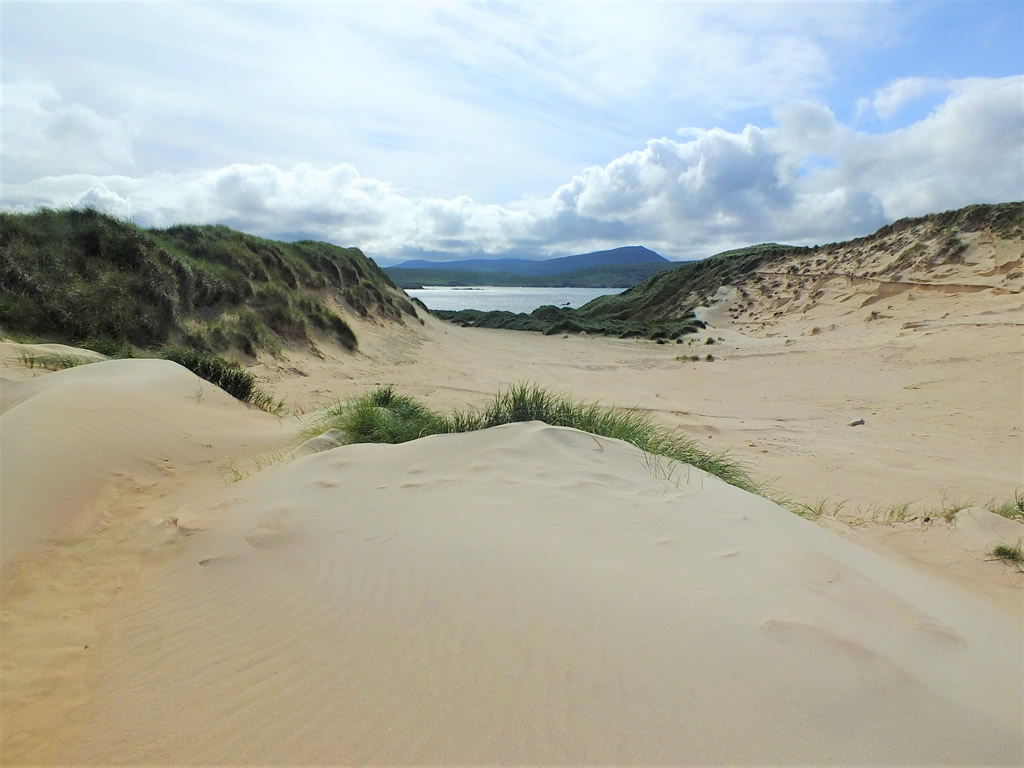 DSCF5294_E  West Highlands