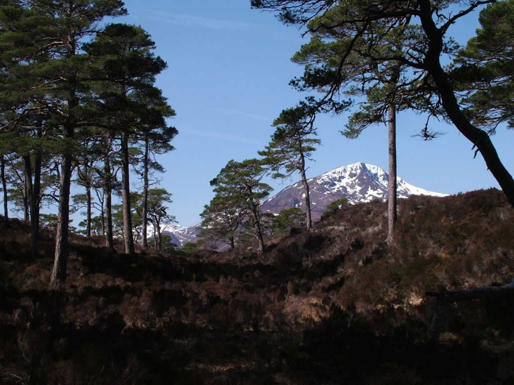 DSCF6035, Glen Affric