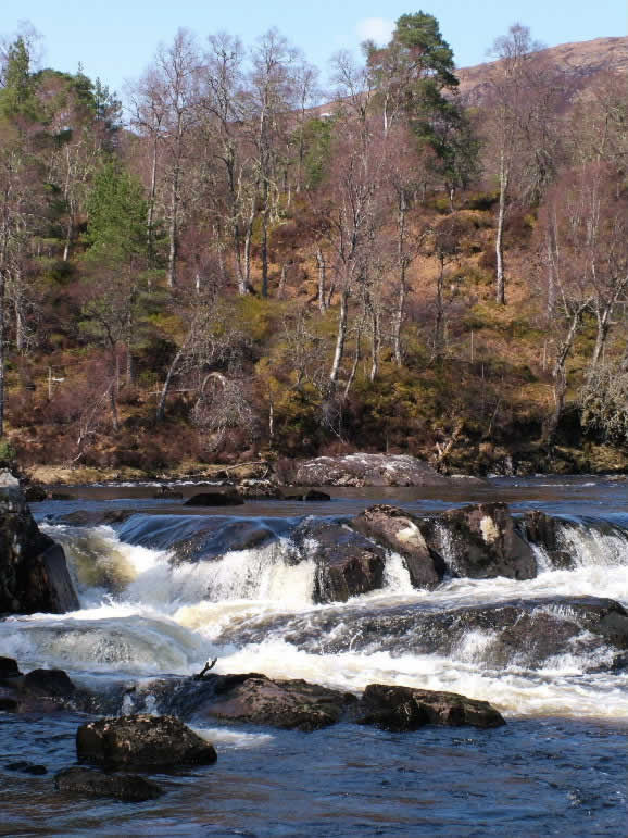 DSCF6049, Glen Affric