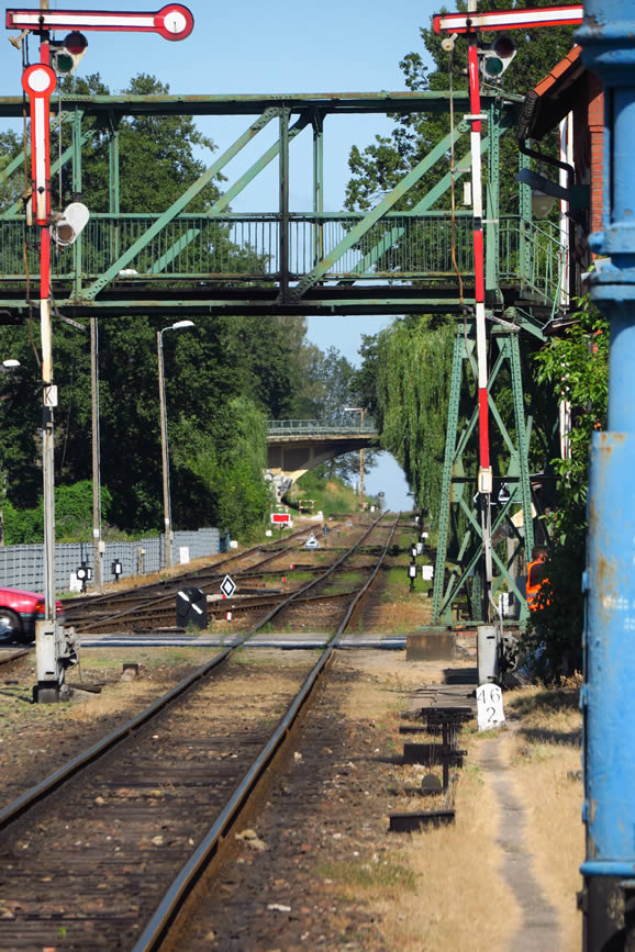 IMG_1006: Wolsztyn