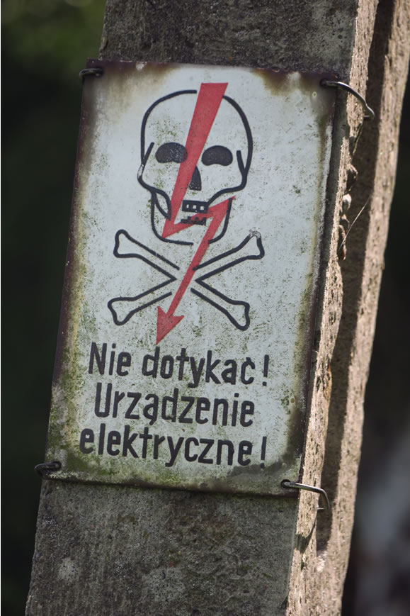 IMG_1049: Wolsztyn