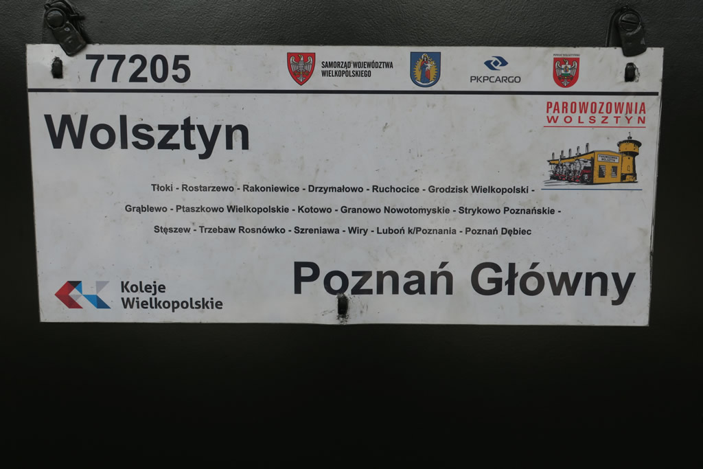 IMG_1099: Wolsztyn