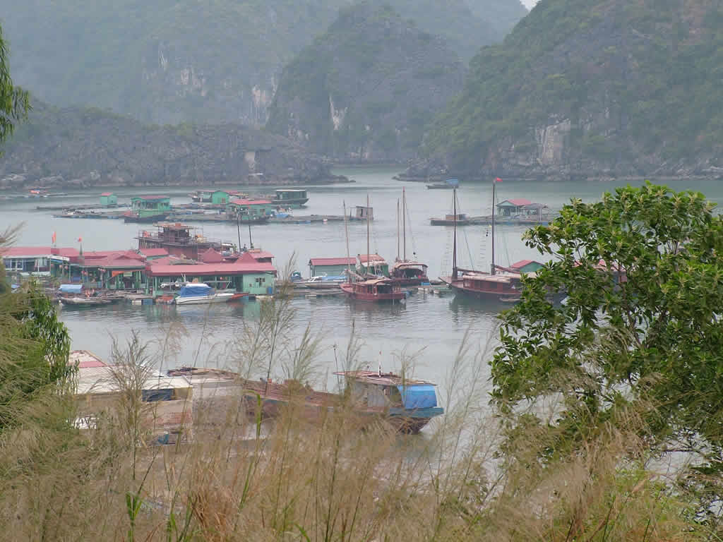 DSCF9487, Halong Bay