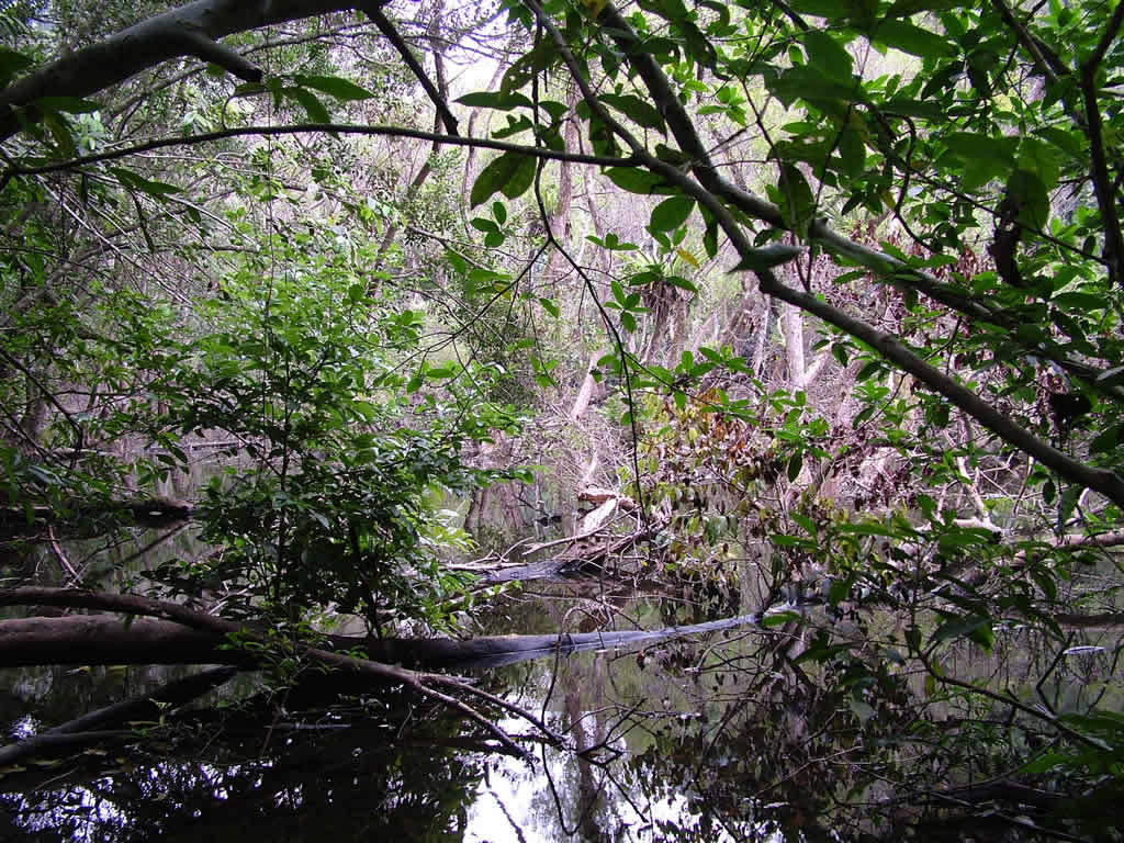 DSCF9533, Cat Ba National Park