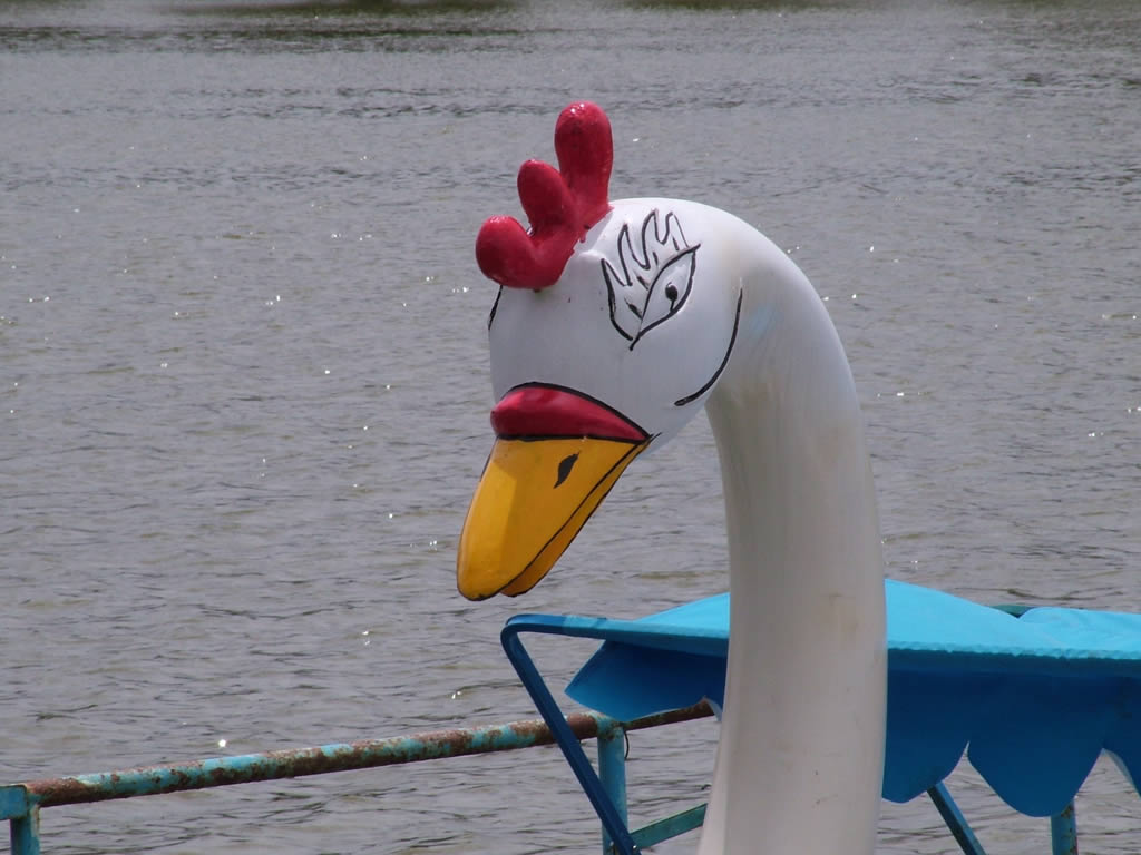 DSCF0503, DaLat, boat on lake