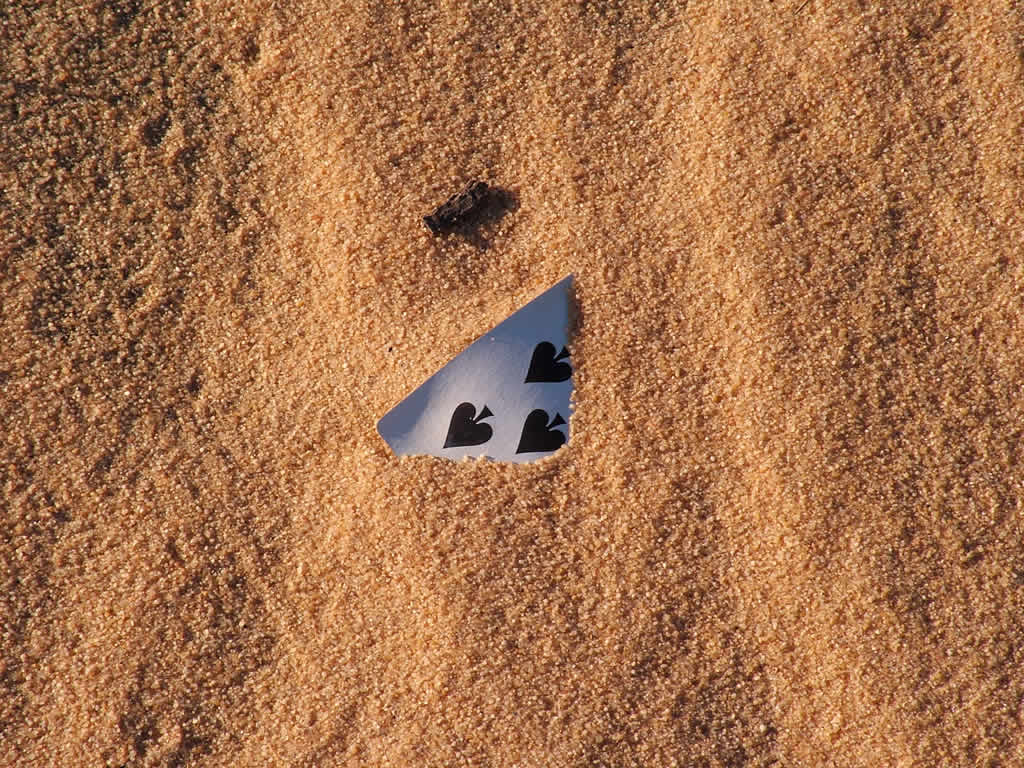 DSCF0597, Mui Ne, Spades in the sand dunes