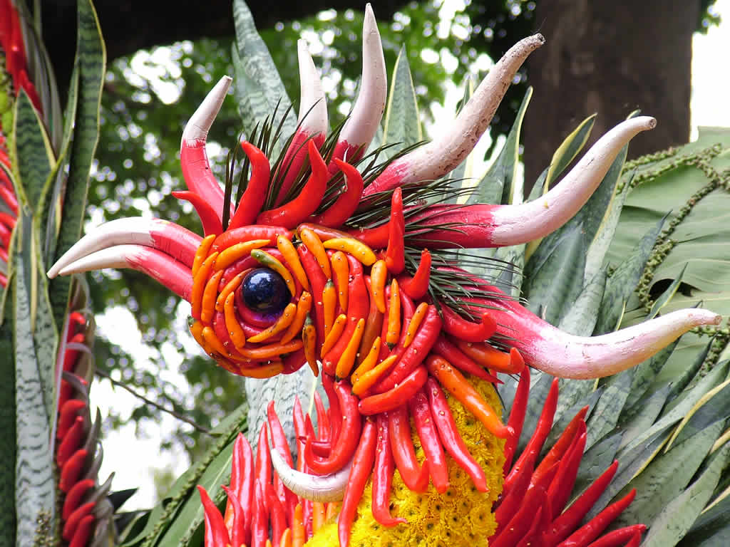 DSCF0004, Hanoi Flower Festival