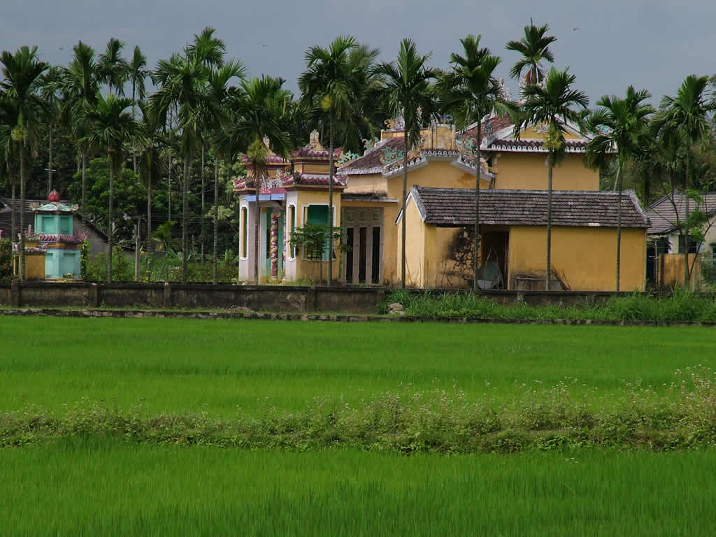 DSCF0161, Hoi An paddy field