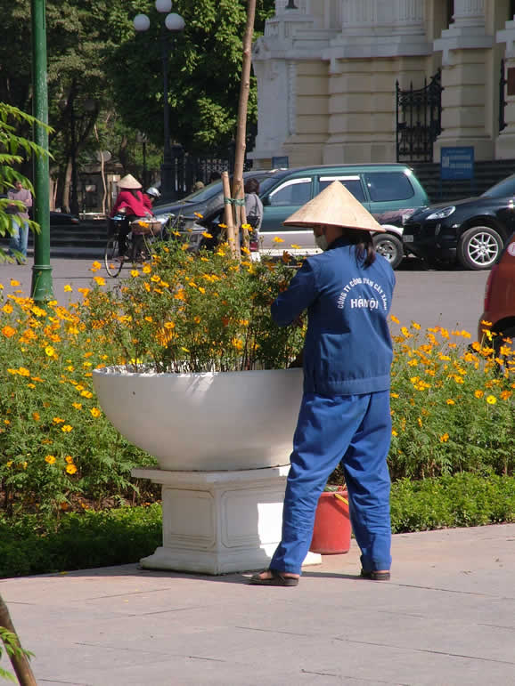 DSCF9285, Gardener in Hanoi