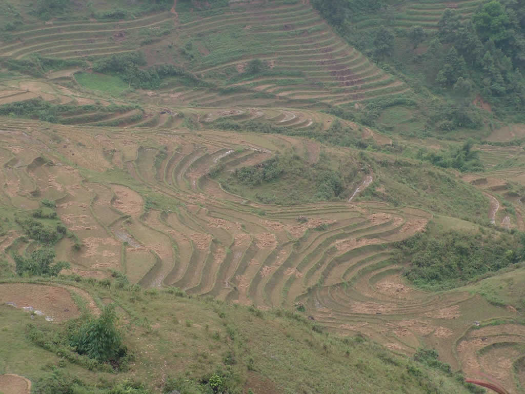 DSCF8821, Terraced rice fields