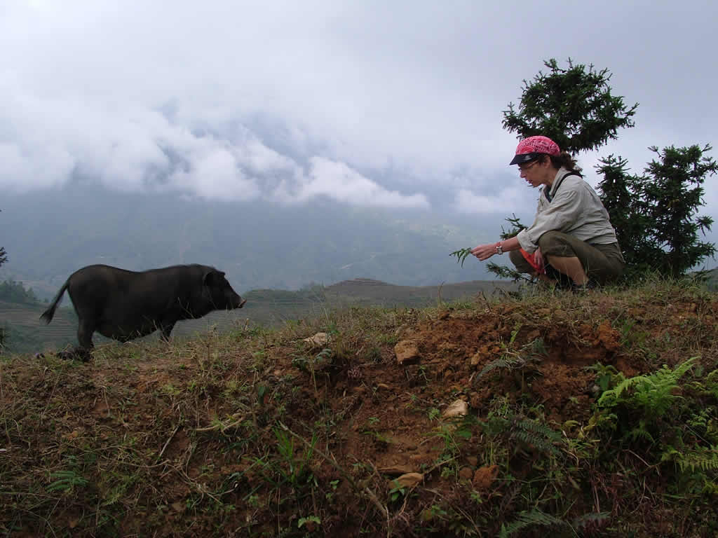 DSCF8836, Barbara and wild pig
