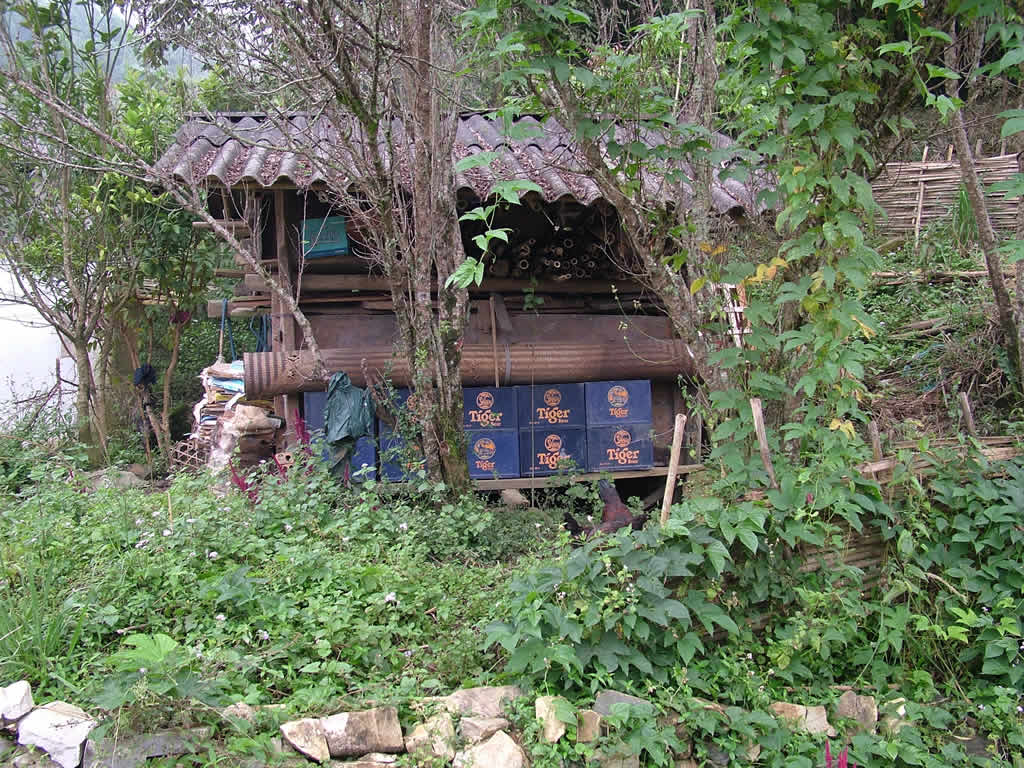 DSCF8908, Cases of Tiger Beer